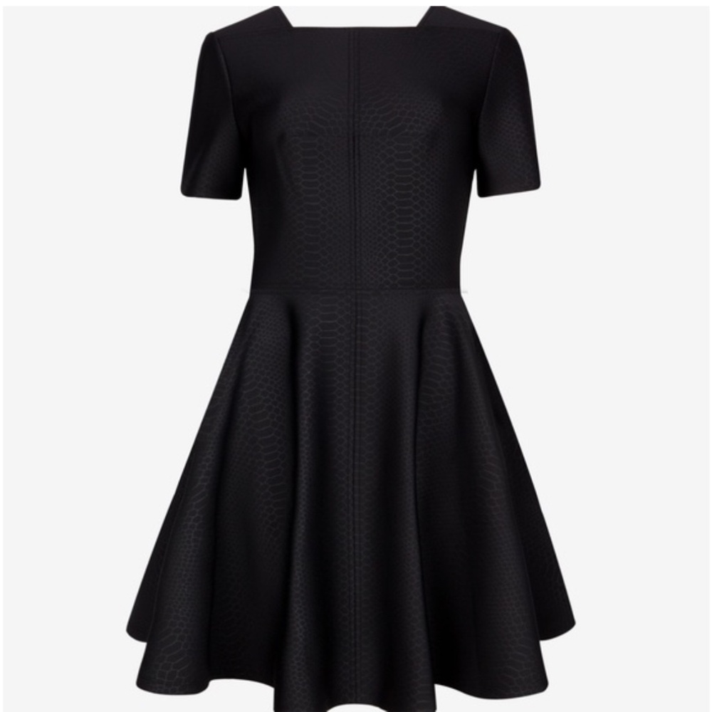 TED BAKER Snake Print Black Scuba A-Line Skater Dress Sz Small EUC